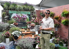 Marlon Carrera of Pacific Plug and Liner presenting the Hellebores Winters Angel Charmer. The best thing about this variety is that you can programm it for Chrismas bloom as it is a really programmable variety. Besides, it is also compact and full of flower and flowering continues up t five months. The flower color is raspberry pink and has leaf variegation, explais Marlon.